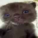 ejspisz emote for Discord