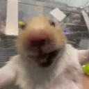 ejeje emote for Discord