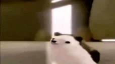 ejDANCE emote for Discord