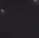 EinsteinNikola emote for Discord