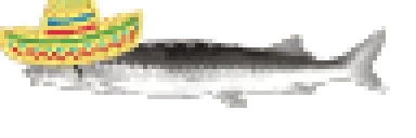 elJoel emote for Discord