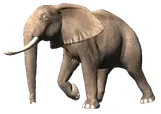 ELEPHANT emote for Discord