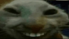 elmxdd emote for Discord