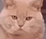 ekikikiki emote for Discord