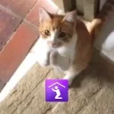 Elgatoshake emote for Discord