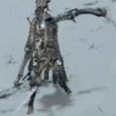 eldenCrazy emote for Discord