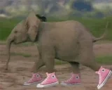 ElephantRun emote for Discord