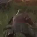 eldenTwerk emote for Discord