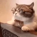 elisSkip emote for Discord