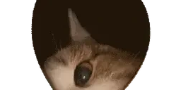 Eldo emote for Discord