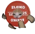 Eleikocatrun emote for Discord