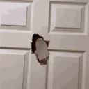 ElmoArrive emote for Discord