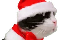 elfCheck emote for Discord