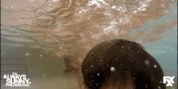 eloo emote for Discord