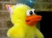 duckDrop emote for Discord