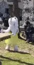 DussyBunnyDance emote for Discord