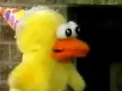 duckyFace emote for Discord