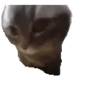 dubidubiduchipichipichapachapa emote for Discord