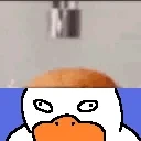 duckotomy emote for Discord