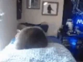 dunkLook emote for Discord