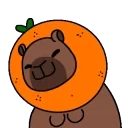 DunnSilly emote for Discord