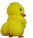 duckytwerk animated emote for Discord, Twitch and Slack