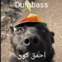 Dumbass emote for Discord