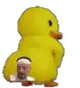 DuckassHaramEdition emote for Discord