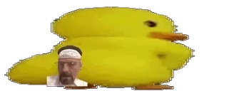 DuckassWideHaramEdition emote for Discord
