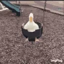 duckswing emote for Discord