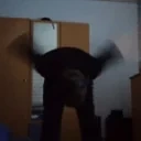 DustinFly emote for Discord