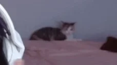 dumpy emote for Discord