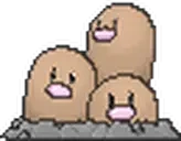 Dugtrio emote for Discord