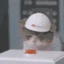 dx emote for Discord