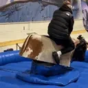 DWT emote for Discord