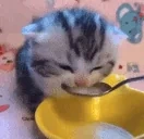 dwinkin emote for Discord