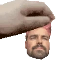 DYLPET emote for Discord