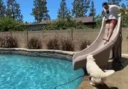 dylSlide emote for Discord