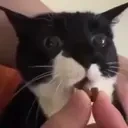 eat emote for Discord