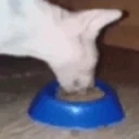 EATEATEAT emote for Discord