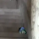 E1 emote for Discord