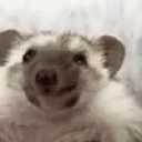 EATING emote for Discord