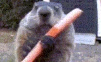 EATING emote for Discord