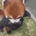 eatt emote for Discord