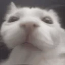 EatChamp emote for Discord