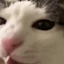 eatingg emote for Discord