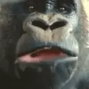 Eating emote for Discord