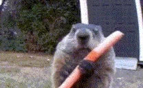 EATING emote for Discord