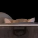 EarlPeek emote for Discord