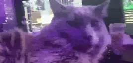 EARTHQUANK emote for Discord